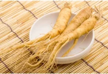 Rahasia Manfaat Sehat Dari Akar Ginseng