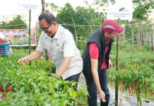 Ketua DPRD Nias Utara Apresiasi Inovasi Desa Fulolo Salo'o