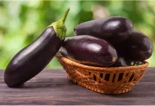 Manfaat Sehat Konsumsi Sayur Terung Ungu