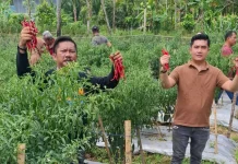Wujud Kemandirian Ekonomi Desa