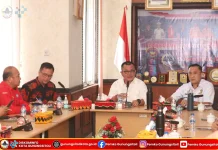 Rencana Pembangunan PLTMG Nias 2 dan Nias 3