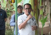 Ketua DPRD Nias Utara: Jembatan Garuda Kepedulian Pemerintah terhadap Masyarakat