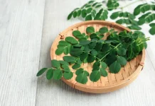 Manfaat Daun Kelor untuk Kesehatan