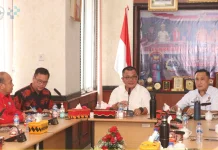 Audiensi Rencana Pembangunan PLTMG Nias 2 dan Nias 3