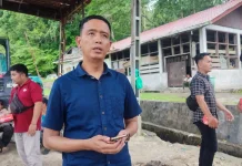 Penyelidikan Babi Ilegal di Sisarahili Gamo Kini Wewenang Karantina