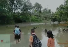 Menyeberang Maut Demi Sekolah: Jeritan Pelajar Banua Sibohou di Sungai Mua