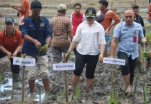 DPRD Nias Utara Dukung Tanam Padi Faekhuna’a, Minta Lokasi Sawah Dibenahi