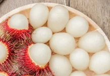 Manfaat Biji Rambutan untuk Kesehatan yang Jarang Diketahui