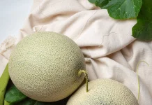 Tips Memilih Buah Melon Kualitas Baik
