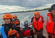 Nelayan Diterkam Buaya di Lahewa, Basarnas Nias Kerahkan Tim SAR