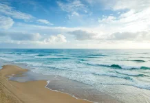 Abrasi Pantai dan Dampaknya bagi Warga Pesisir