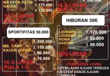 Liga Trisula Season 6 Berlangsung Meriah, Kicaumania Nias Antusias