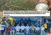 Dinsos Nias Utara Gelar Sosialisasi Budidaya Lele  di Faekhunaa - Afulu