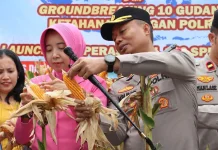 Panen Raya Jagung Serentak Kuartal II bersama Presiden