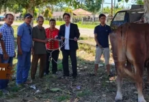 Pemkab Nias Barat Serahkan Qurban Bantuan Presiden kepada BKM Mesjid di Tetesua