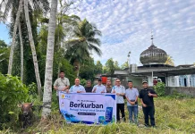 PLN Nias Lakukan Penyaluran Hewan Kurban di 3 Mesjid di Kepulauan Nias