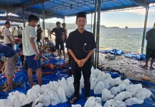 Mushalla Islamiyah Gunungsitoli Gelar Penyembelihan 19 Ekor Sapi Kurban