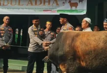Polres Nias Laksanakan Pemotongan Hewan Qurban Idul Adha