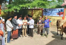 Penyembelihan Hewan Kurban Presiden RI Digelar di Masjid Raya Al-Furqan