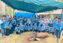 DPD BKPRMI Kota Gunungsitoli Melaksanakan Penyembelihan Hewan Qurban