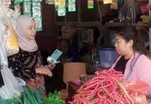 Penurunan Volume Penjualan Drastis, Perolehan Omzet Pedagang Ikut Menurun