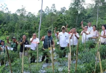 Wali Kota Apresiasi Panen Cabai BUMDes Sendroro, Wujud Kedaulatan Pangan