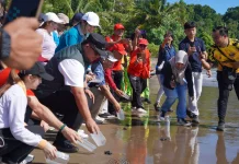 Hijaukan Kota, Selamatkan Laut: Pemko Lepas Tukik