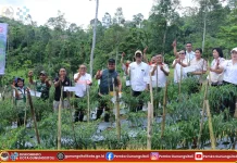 Dukung Program Ketahanan Pangan Melalui Budidaya Cabai