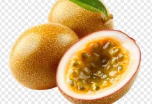 Markisa Menyehatkan Pernapasan