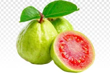 Jambu Biji Memperkuat Daya Tahan Tubuh