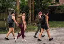 Mengapa Ide Cemerlang Muncul saat Jalan Kaki?