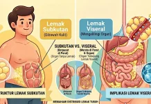 Lemak Subkutan dan Lemak Viseral, Apa Perbedaannya?