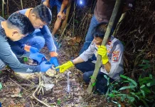 Penemuan Kerangka Manusia di Desa Ononamolo Talafu Kabupaten Nias