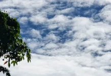 Kabupaten Nias Selatan Potensi Hujan Ringan, Wilayah Lainnya Umumnya Berawan