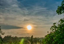 Tips Membangun Mood Baik Pagi Hari