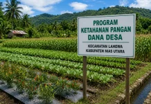 Camat Lahewa Minta Dana Desa Prioritaskan Ketahanan Pangan