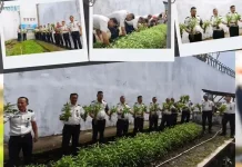 Lapas Gunungsitoli Panen Kangkung 50 Kg sebagai Wujud Ketahanan Pangan