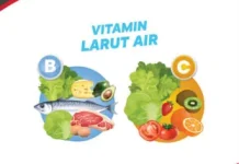 Vitamin yang Larut dalam Air