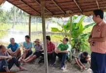 Tingkatkan Produktivitas, Kepala DKPP Nias Barat Lakukan Kunjungan ke Sawah