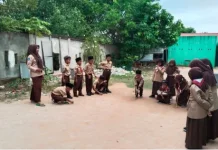 Asal Usul Permainan Tradisional Patok Lele