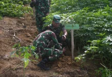 Kodim 0213/Nias Tanam 5.000 Pohon Serentak di Kepulauan Nias