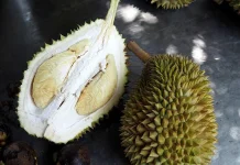 Manfaat Durian bagi Kesehatan