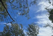 Prakiraan Cuaca Kepulauan Nias pada Akhir Pekan