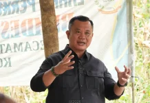 Jagung Hibrida BUMDes Sowua Panen, Wali Kota Beri Apresiasi