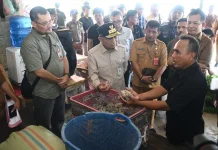 Wagubsu Surya Dorong Hilirisasi Rumput Laut Nias Utara agar Bernilai Tambah