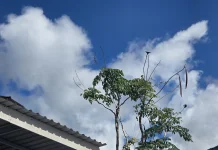 BMKG Gunungsitoli Prakirakan Cuaca Kepulauan Nias Berawan Dengan Potensi Hujan