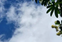 Prakiraan Cuaca Pulau Nias 27 Juli 2026