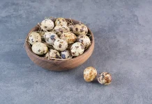Telur Puyuh, Mencukupi Asupan Nutrisi Tubuh