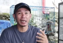 Tarif Penitipan Hewan Peliharaan di Ziezie Pethome, Full Kasih Sayang
