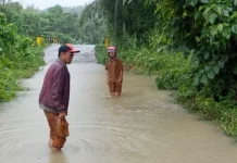 Banjir Rendam Ruas Jalan dan Sawah di Mandrehe Barat